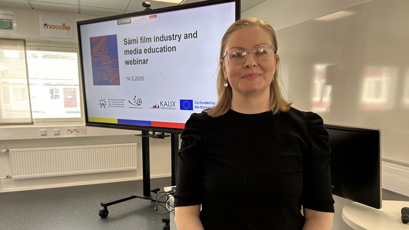 Projektin vetäjä Tiina Jäppinen loppuwebinaarissa.